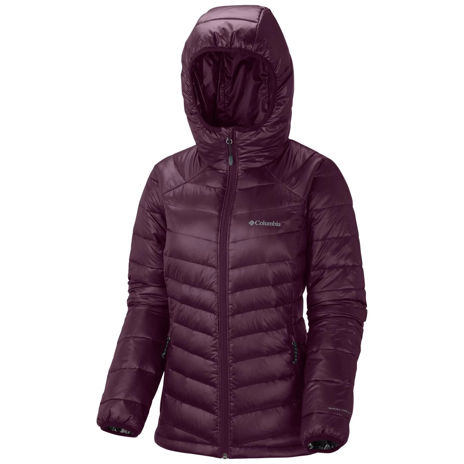 Columbia Gold 650 Turbodown RDL Hooded Jacket - Women's 1 Columbia Gold 650 Turbodown RDL Hooded Jacket - Women's