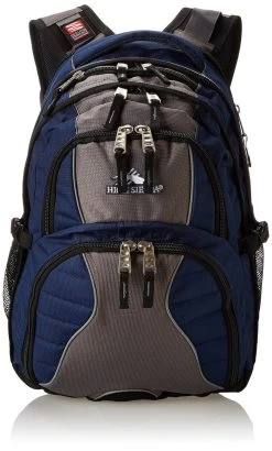 High Sierra Swerve Backpack