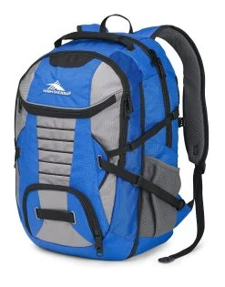 High Sierra Haywire Backpack